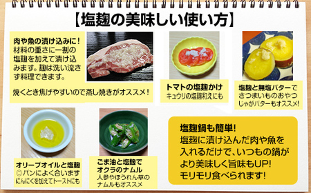旨味を引き出す塩麹3本・醤油麹2本セット B120-076 そよかぜ