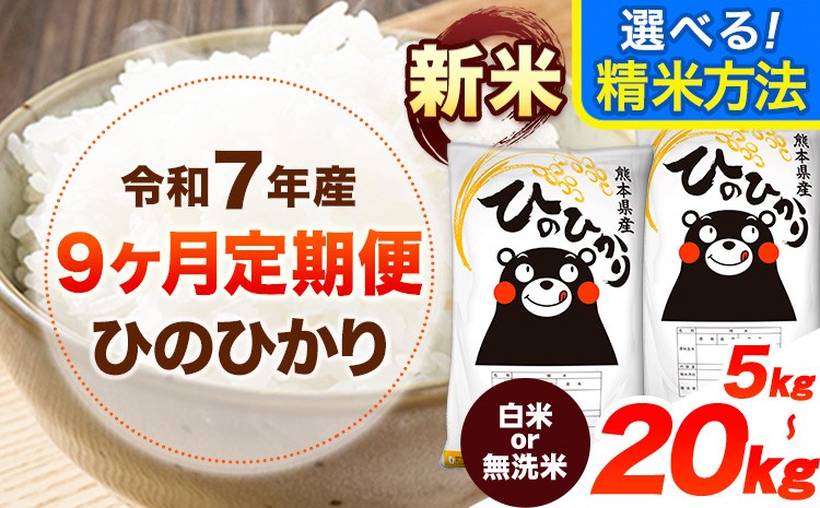 
            新米 令和7年産 【9ヶ月定期便】 選べる 無洗米 白米 定期便 内容量 ひのひかり 5kg 10kg 15kg 20kg 《お申し込み月の翌月から出荷開始》 熊本県産 無洗米 白米 精米 ひの 送料無料 熊本県 山江村 SDGs むせんまい 米 コメ こめ 国産 
          