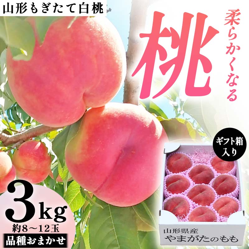 【ふるさと納税】 【先行受付 令和8年度発送】山形もぎたて白桃『柔らかくなる桃』品種おまかせ約3kg ギフト箱入り FSY-2540