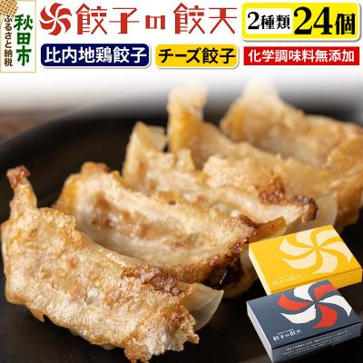 ふるさと納税 秋田市 【比内地鶏餃子・3種のチーズ餃子24個詰合せ】餃子の餃天|15_ggt-122401