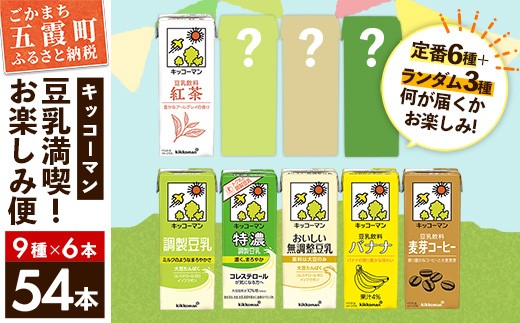 
                  【合計200ml×54本】キッコーマン 豆乳満喫！ お楽しみ便 ／ 9種 各6本 計54本 詰め合わせ アソート 飲み比べ 豆乳飲料 豆乳 健康 おまかせ おやつ 大豆 パック 定番 飲み切り おすすめ 茨城県 五霞町 N
                