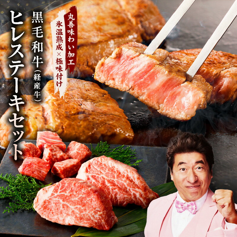 【ふるさと納税】特別寄附金額 黒毛和牛 ヒレステーキ セット 合計 300g ヒレ ステーキ 200g ヒレサイコロステーキ 100g 極味付け 牛 ステーキ肉 冷凍 お取り寄せグルメ 泉佐野市 送料無料 氷温熟成牛 牛肉 熟成肉 氷温熟成 作り方 ふるさと納税オリジナル 限定 肉の泉佐野