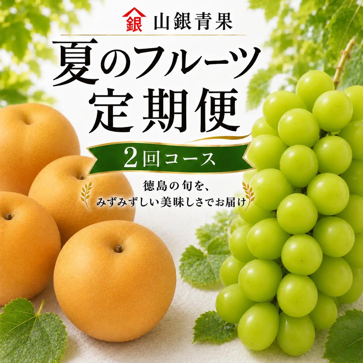 フルーツ 定期便 2回 コースB 果物