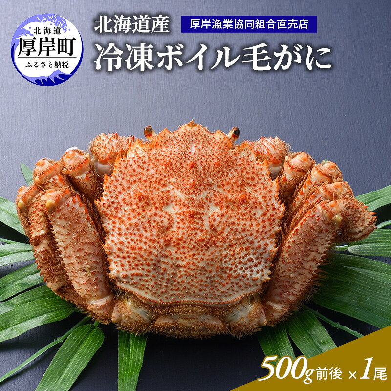 【ふるさと納税】カニ 3D冷凍 北海道産 冷凍 ボイル 毛がに 500g前後×1尾 【厚岸漁業協同組合】[ 毛カニ 蟹 毛ガニ カニ かに ] 　お届け：2026年10月から順次出荷
