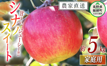 りんご シナノスイート 家庭用 5kg マルカズりんご農園 沖縄県への配送不可 2025年10月中旬頃から2025年10月下旬頃まで順次発送予定 令和7年度収穫分 信州 果物 フルーツ リンゴ 林檎 長野 12000円 予約 農家直送 長野県 飯綱町 [0991]