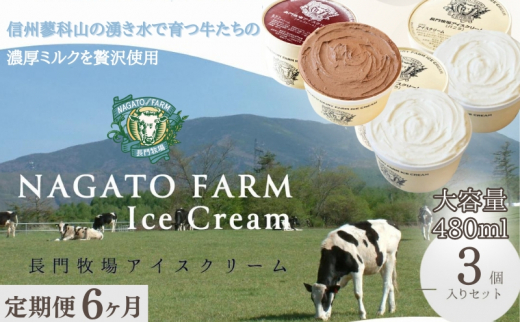【定期便】6ヵ月連続でお届け！長門牧場アイスクリーム贅沢480mlバニラ2個チョコレート1個　人気スイーツ　濃厚ミルク　直送　牛乳　生乳　国産　夏ギフト　長野県　贈答品　お土産　お中元　お歳暮　クリスマス