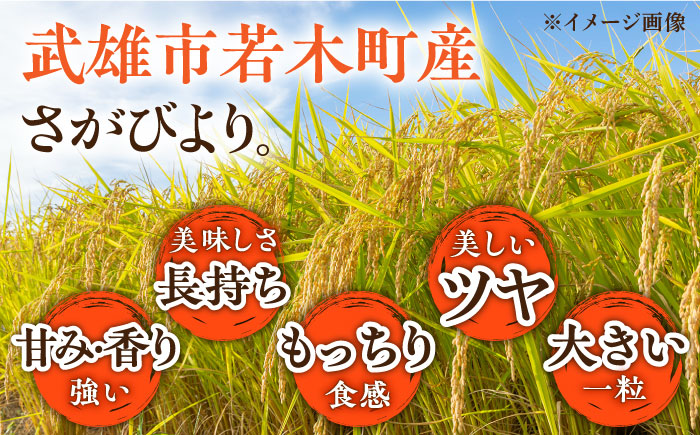 【もっちりツヤツヤの自慢のお米！】令和5年産 大楠水車米 さがびより 10kg（5kg×2袋）/若木町まちづくり推進協議会 [UBY003] 水車米 米 こめ お米 白米 精米 ごはん
