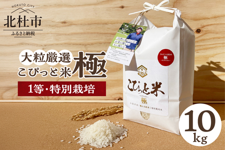 【令和7年度新米】【令和7年度米】こぴっと米【極】10kg 大粒厳選・1等特別栽培米 100％ 米 精米 令和7年産 北杜市産 お米 新米 八ヶ岳