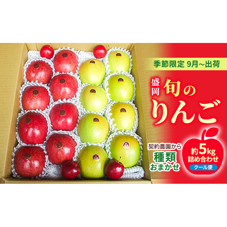 盛岡 旬のりんご《種類おまかせ！》 約5キロ詰め合わせ 《季節限定9月～出荷》《クール便》《契約農園から》