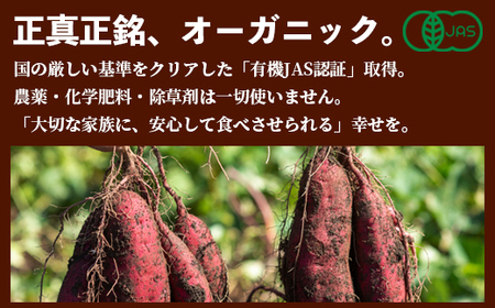 【訳あり】紅はるか 有機ほしいも 3kg（300g×10） 干し芋