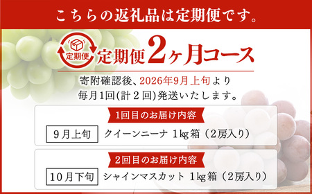 【定期便2回】 ［種なし］ 岡山県産 クイーンニーナ ・ シャインマスカット 1kg箱（2房入り）【2026年9月上旬発送開始】 ／ ぶどう ブドウ 葡萄 大粒 種なし 種無し フルーツ 果物 くだも