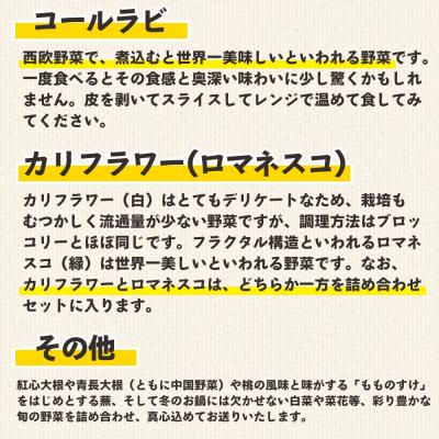 ふるさと納税 香南市 野菜セット まさに旬 ほっこり温野菜セット sy-0006 |  | 03