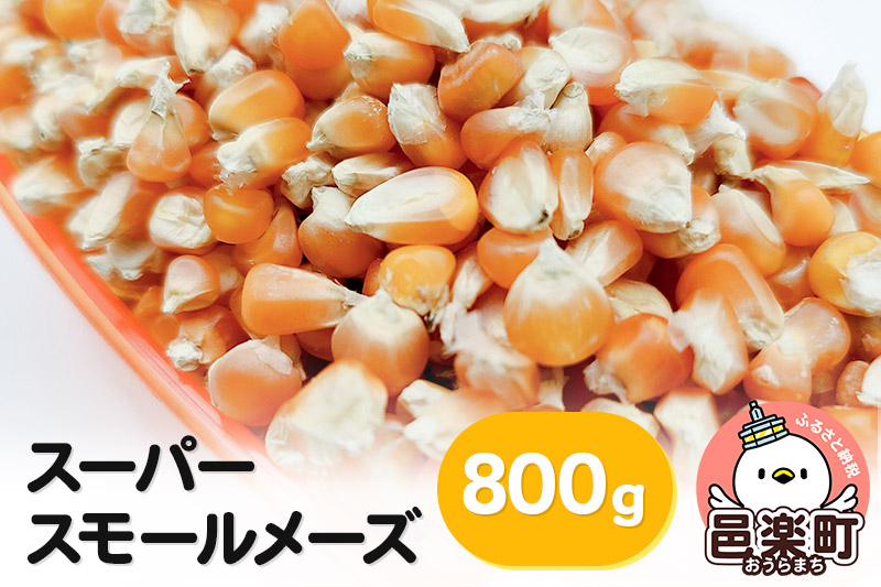 
スーパースモールメーズ 800g×1袋 サイトウ・コーポレーション 飼料
