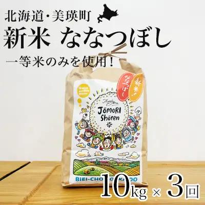 【3回定期便】白米 10kg （ 5kg × 2袋） ななつぼし 一等米 精米 ブランド米 定期便 【令和8年産】城守商店