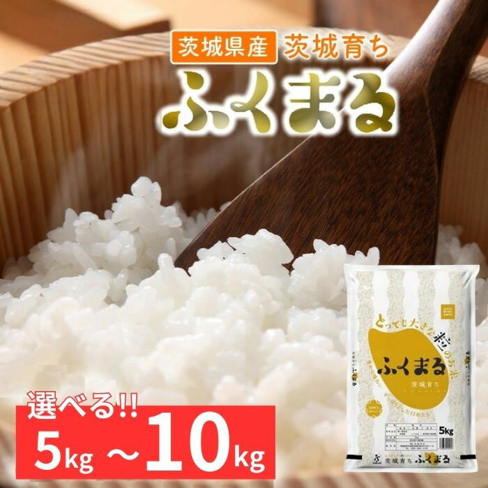 【ふるさと納税】【令和7年産】茨城県産 ふくまる 精米 選べる容量 5～10kg【石崎商店】
