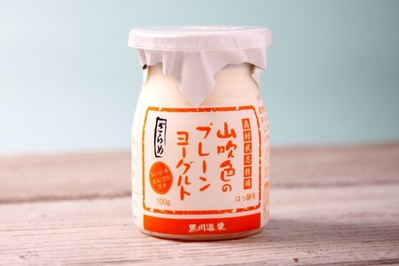 山吹色のジャージーヨーグルト 食べきりセット 3種 12本 飲むヨーグルト プレーンヨーグルト ヨーグルト 食べるヨーグルト ジャージー牛乳 詰め合わせ セット 乳製品 乳飲料 健康 腸活 免疫力アッ