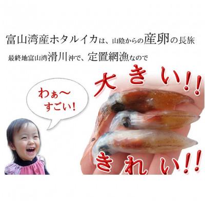 ふるさと納税 氷見市 ホタルイカ沖漬け 2種 甘酢漬け 素干し 4品セット(A2セット) |  | 02