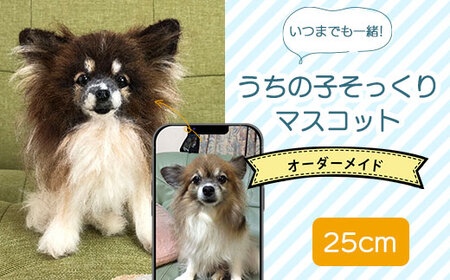 いつまでも一緒！うちの子そっくりマスコット25cm 羊毛フェルト犬猫オーダーのお店「山田羊毛雑貨店」 KH003