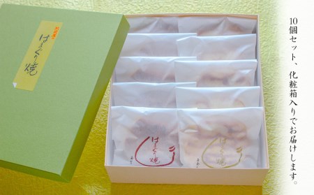 【老舗和菓子店 武蔵屋総本店】はまぐり焼 (菓子) 10個セット 化粧箱入り | お菓子 和菓子 焼き菓子 小豆 つぶあん 刻み栗入り どら焼き 詰め合わせ セット スイーツ デザート おやつ あんこ