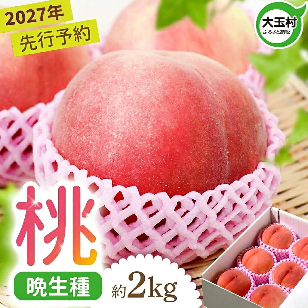 【ふるさと納税】 もも 2kg 令和9年 先行予約 桃 福島 約6玉 2027年 8月以降発送 菊地果樹園 ｜ 大玉 村 大玉村 国産 白桃 川中島白桃 さくら ゆうぞら 旬 果物 フルーツ くだもの お取り寄せ 新鮮 産地直送 送料無料 ギフト 贈答 晩生種 先行予約｜ kk-mm02-R9