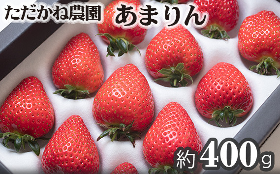 
No.228 ただかね農園のあまりん　約400g ／ 果物 フルーツ 苺 イチゴ 埼玉県 特産
