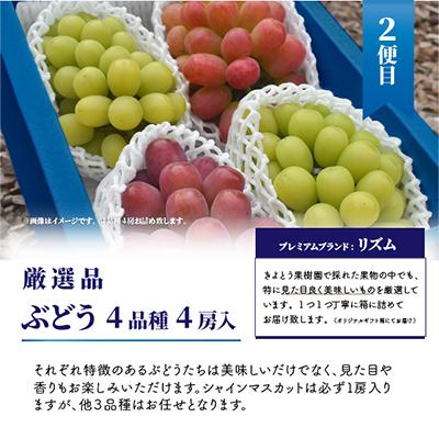 ふるさと納税 真庭市 【発送月固定定期便】【2026年先行予約】桃、ぶどう、梨の最上級品を旬にお届け!(岡山県産)全3回 |  | 02