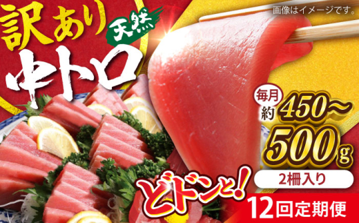 【全12回定期便】【訳あり】天然 まぐろ 中トロ メバチ （約450〜500g（2柵入り）） 鮪 マグロ まぐろ 魚 刺身 中とろ さしみ 横須賀【横須賀商工会議所 おもてなしギフト事務局（本まぐろ直売所）】 [AKAK093]