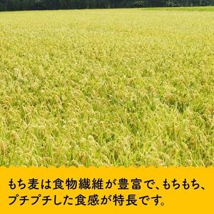 令和7年産　宮崎県産　お米5kg(夏の笑み)&もち麦500g×2袋 【 宮崎県産 米 こめ 精米 おにぎり もち麦 穀物 】