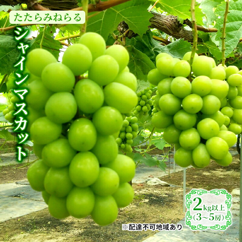 【ふるさと納税】【2025年先行予約】 ぶどう 岡山県産 たたらみねらる シャインマスカット 2kg以上(3～5房) 《2025年8月下旬-10月下旬頃出荷》 葡萄 ブドウ フルーツ 果物 スイーツ 数量限定 期間限定 岡山 里庄町 　お届け：2025年8月下旬～2025年10月下旬