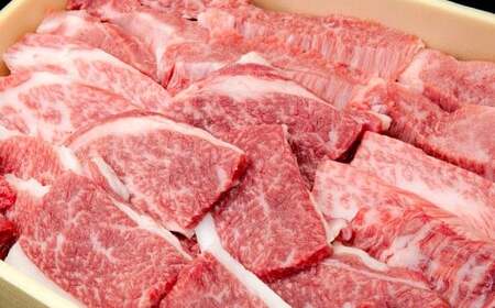 牛肉 兵庫県産 黒毛和牛 焼肉 バラ 約500g×1パック 肉 ニク にく 牛