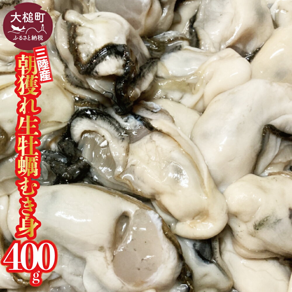 【ふるさと納税】【2025年12月より発送】 朝獲れ 生牡蠣 むき身 400g 加熱用【配送日・曜日指定不可】