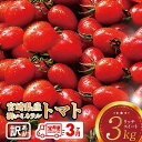 【ふるさと納税】 【3ヶ月定期便】【訳あり】宮崎県産ミニトマト 潤いミネラルトマト「リッチスイート」3kg ※初回発送は令和6年12月※ - ミニトマト 九州産 川南町産 野菜 ヘルシー 送料無料 D07202t3