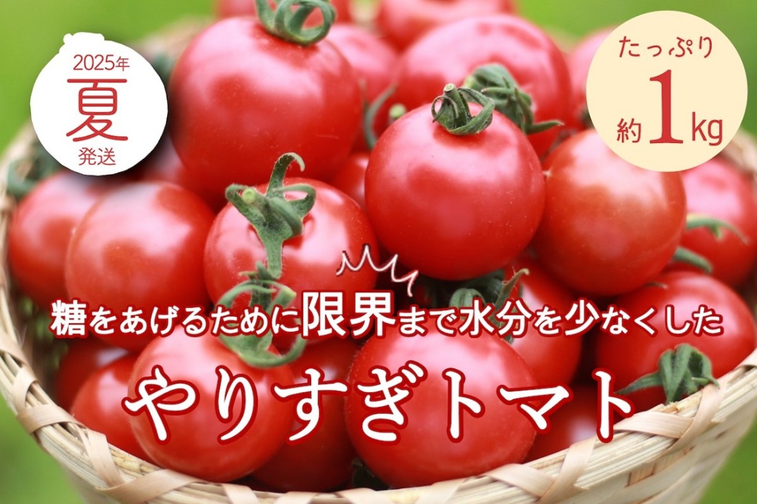 【先行予約】やりすぎトマト（4パック計約1kg）（夏季）（2025年6月上旬以降発送）　DE00132