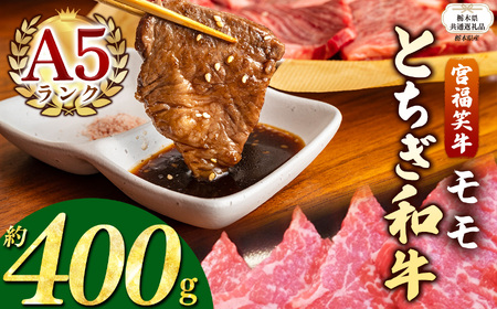【栃木県共通返礼品】宮福笑牛(とちぎ和牛) A5 モモ焼き肉 約400g  | 栃木県 下野市