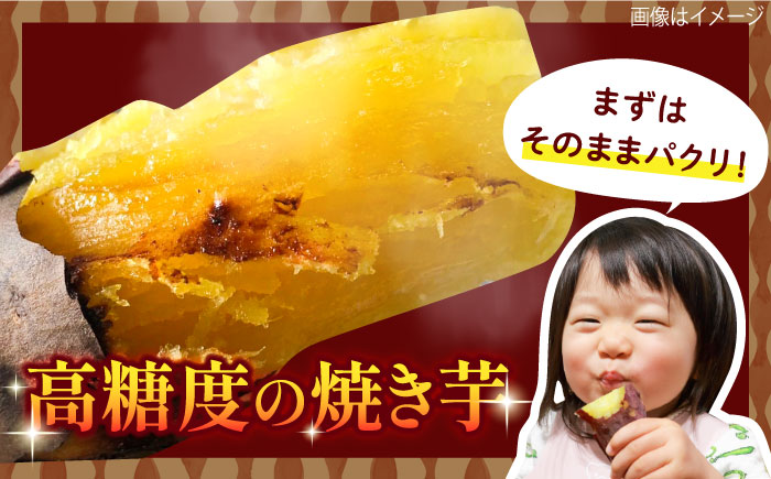 紅はるか（甘太くん）焼き芋 約1.5㎏ /愛まんてん [UBD008]