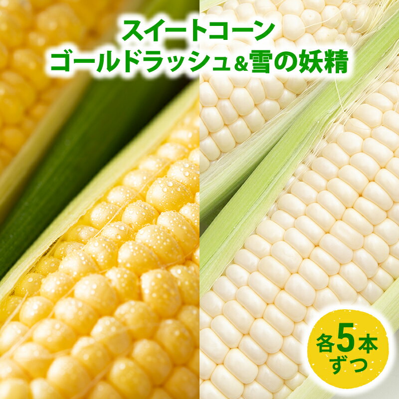 【ふるさと納税】スイートコーン「ゴールドラッシュ5本 & 雪の妖精5本」　 野菜 旬の野菜 北海道産 北海道野菜 国産 国産野菜 グルメ 食材 とうもろこし 　お届け：2025年8月1日～8月30日まで