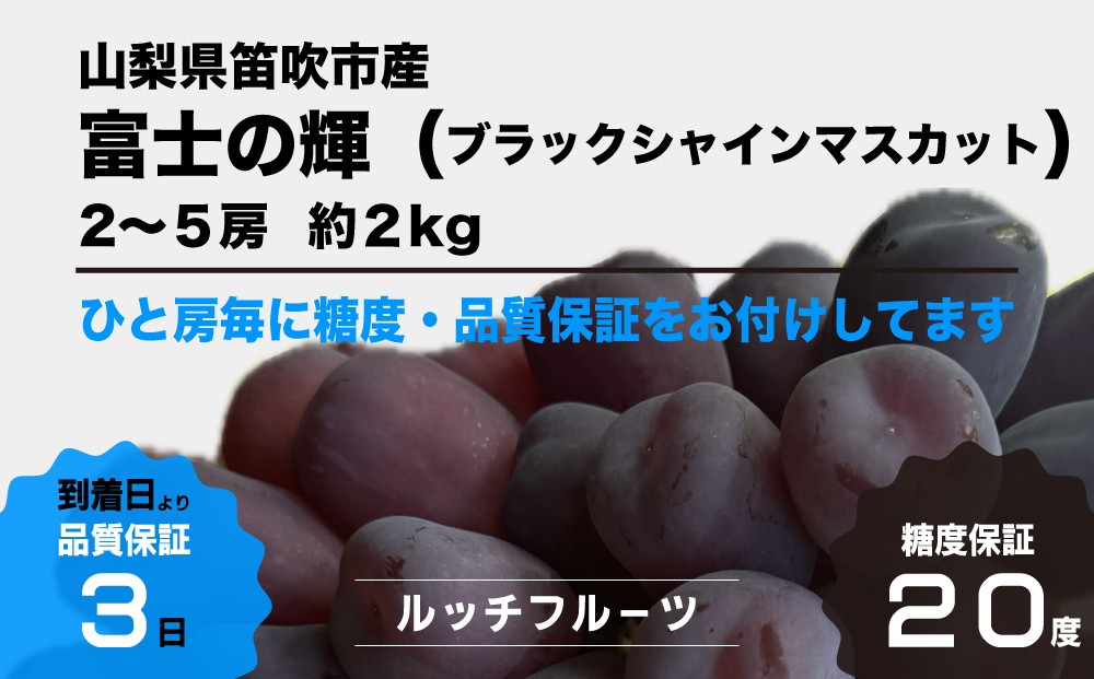 
                  2026年発送【糖度20度保証付】ブラックシャインマスカット「富士の輝」約2kg 2～5房/日テレ「ZIP!」TBS「ひるおび」にて紹介！美味しいフルーツだけをお届け【ルッチ Rucci】産地直送 山梨県 笛吹市 果物 葡萄 ぶどう 黒ブドウ 黒系 黒いシャインマスカット 贈答 人気 ギフト 104-016
                