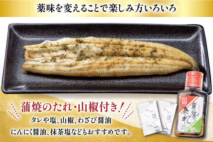 うなぎ 国産 白焼 定期便 160g程度 2尾 3回 総計6尾 960g以上 タレ山椒付き 真空パック 個包装 [駿河淡水 静岡県 吉田町 22424510] 静岡県産 静岡 鰻 ウナギ うなぎ白焼き