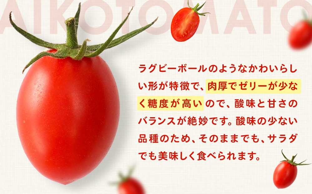 ［2026年4月出荷分］和歌山産ミニトマト「アイコトマト」約1kg（S・Mサイズおまかせ）［TM231］