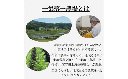 ジュース 山ぶどう 旬素材 1L 6本 /  宮守川上流生産組合 岩手県 遠野市産 山葡萄 100% 野菜 フルーツ 果物 ギフト お中元