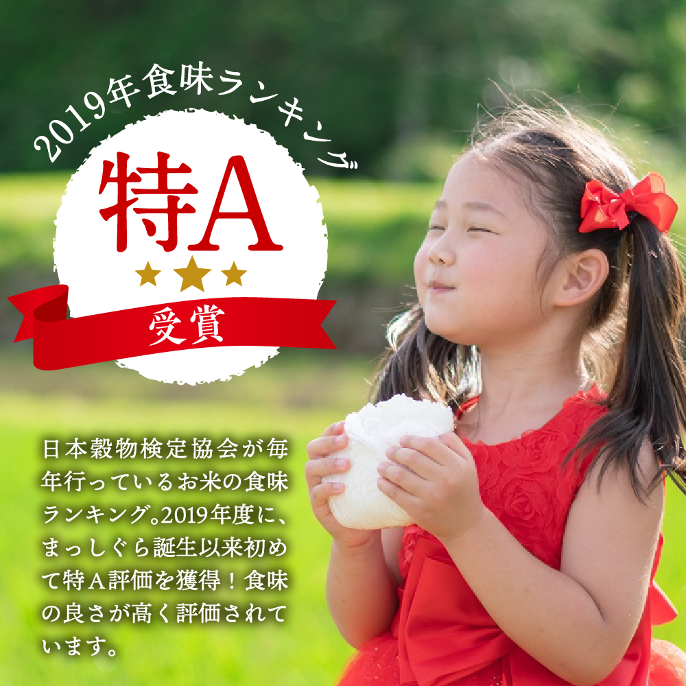 【3月発送】無洗米 10kg 青森県産 まっしぐら 令和7年産米(精米)