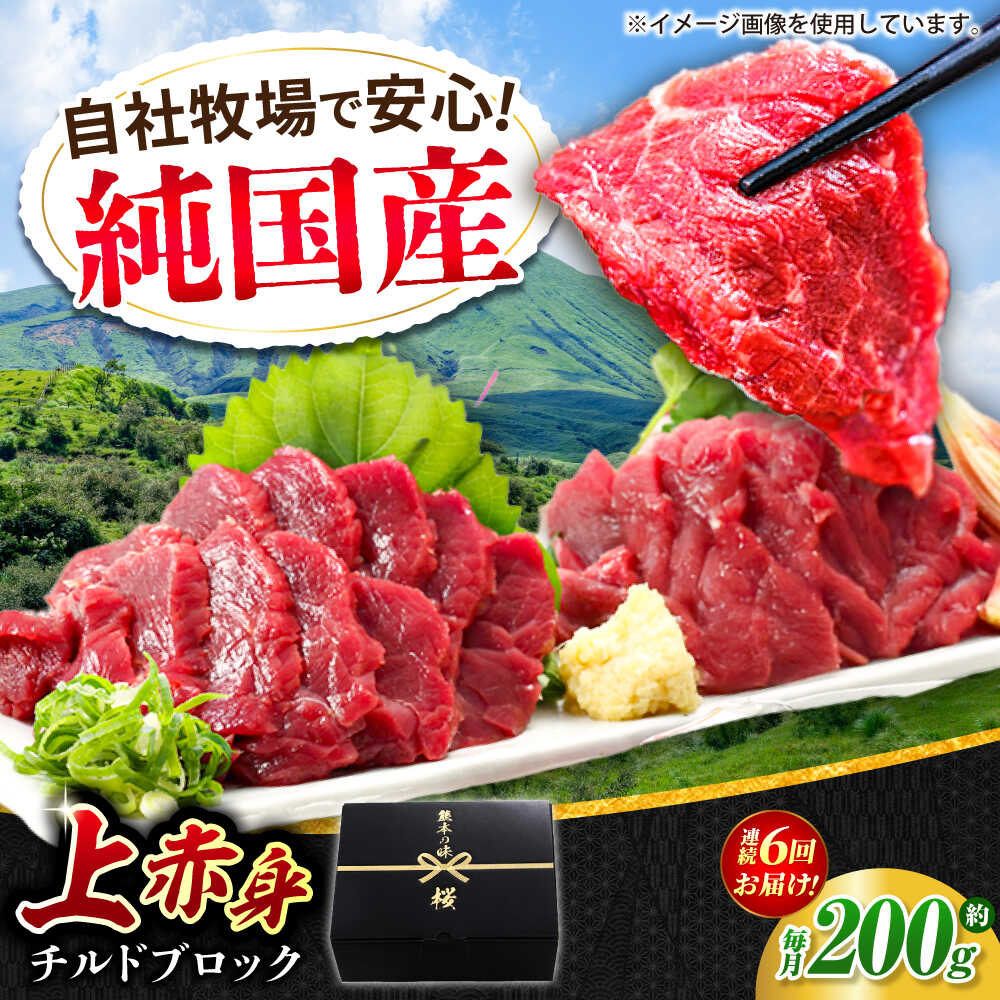 【ふるさと納税】【全6回定期便】『純国産』熊本の味 上赤身 馬刺し 約200g ブロック チルド 冷蔵 【有限会社 九州食肉産業】[AYCN038] 馬刺し 馬肉 モモ肉 もも 馬 うま ヘルシー 国産 上赤身 赤身 大容量 低カロリー 冷凍 ギフト 贈答用 食品 合志市