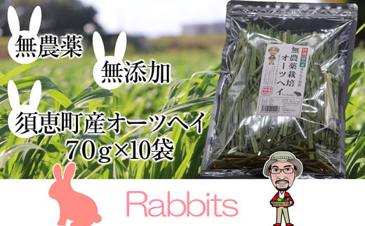 ペットフード うさぎ 無農薬栽培 特選 オーツヘイ 70g 10袋 計700g | うさぎ うさぎ用 ウサギ 兎 usagi ごはん おやつ オヤツ えさ エサ 餌 うさぎの餌 ウサギの餌 うさぎ用おやつ ウサギ用おやつ うさぎのおやつ ウサギのおやつ 兎のオヤツ うさぎのオヤツ ウサギのオヤツ 兎のオヤツ ペット用品 福岡 須恵 ラビッツ