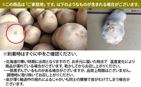 北海道 幌加内産 じゃがいも（きたあかり）約10kg 笠井ファーム