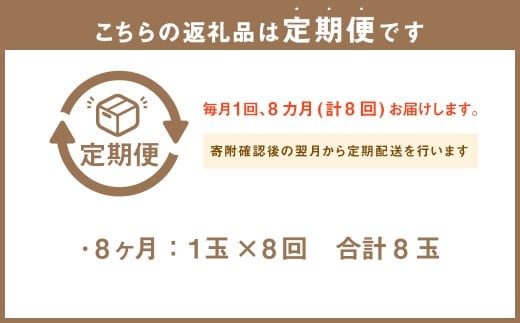 アローマメロン 小玉 1玉