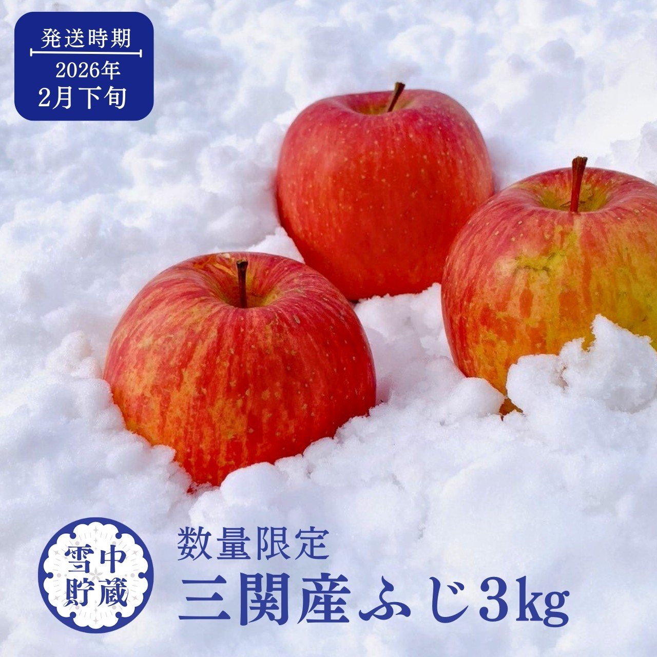 
            ＼希少価値が高い／ 雪中貯蔵 ふじ 三関 りんご 3kg 秀品 りんご 降雪の多い 秋田県 雪の中で貯蔵した 濃厚 で 甘い ジューシー な ふじりんご 果物 フルーツ 三関産 【三関果樹研究会】[L15103]
          