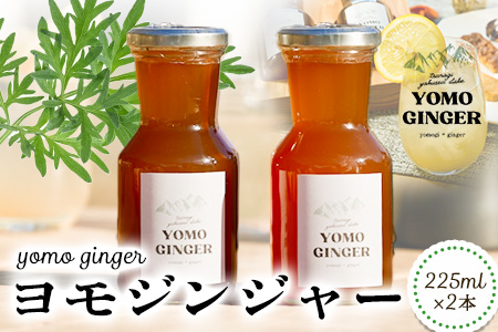 ジンジャー ヨモジンジャーシロップ 225ml×2本 A-TeaM《60日以内に出荷予定(土日祝除く)》