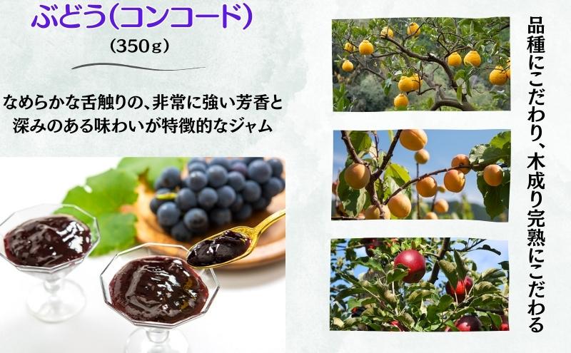 ジャム 四季のジャム詰合せ 5個入り かりんジャム りんごジャム 杏ジャム 三宝柑マーマレード マーマレード セット 詰め合わせ かりん 葡萄 ブドウ ルバーブ 林檎 リンゴ あんず フルーツ コンコ