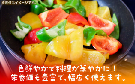 【全12回定期便】【肉厚＆ジューシー】五島のパプリカ 計18個 五島市/HPIファーム [PCP006]