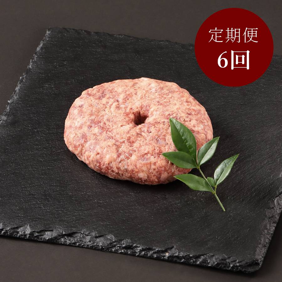 ＜大山物語／ホクニチ＞【氷温熟成】「鳥取和牛」ハンバーグ100ｇ×6（計600g）【6ヵ月定期便】